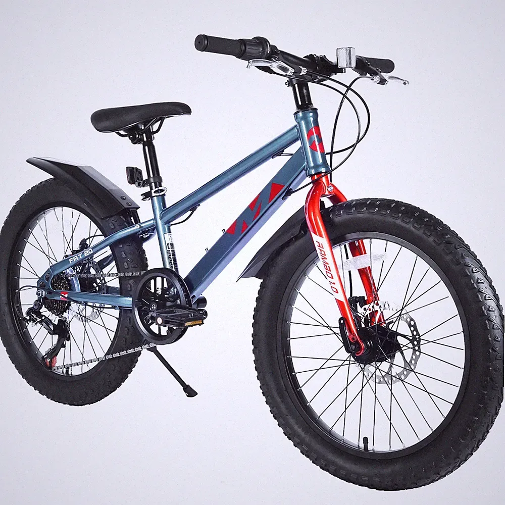20" Youth Fat Tire Bike, 7-Speed Mountain Bicycle for Ages 5+,Grey