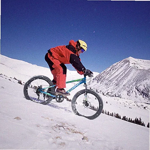 24'' Fat Tire Bike Adult/Youth MTB Full Shimano 7 Speed Mountain Dual Disc Brake