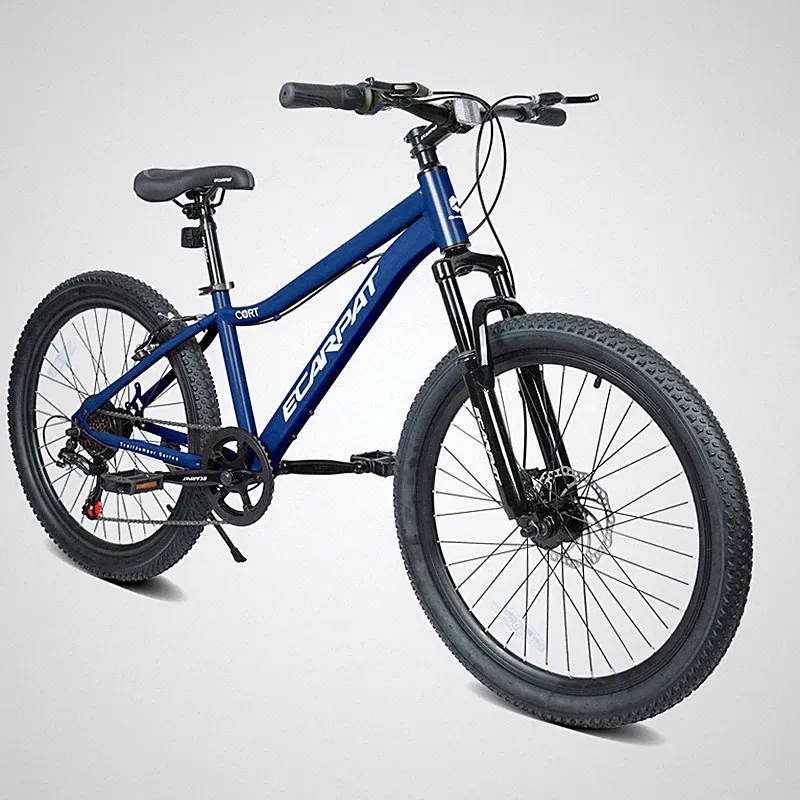 bicycle for young adults