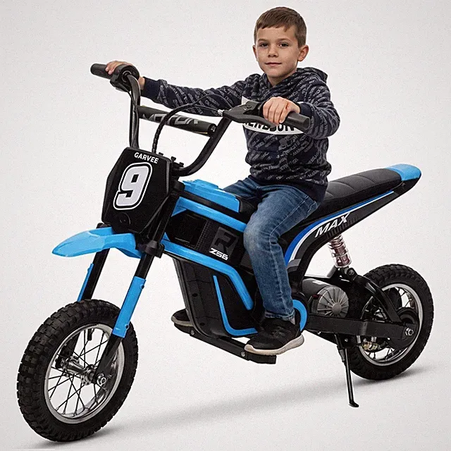 24V 350W Electric Dirt Bike for Kids Off-Road Motorcycle Youth Ride-On 3-speed