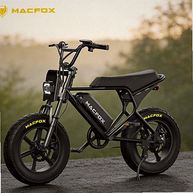 MACFOX M16 E-Bike for Youths 750W Electric Bike LCD 16''*4.0'' Tires Black NEW