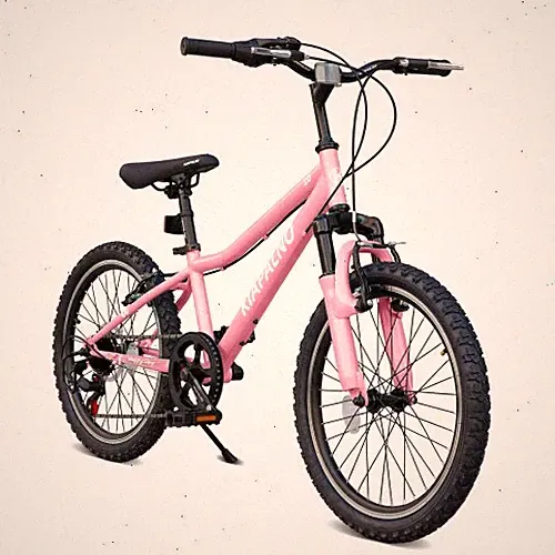 Mountain bike 20-inch youth model with dual suspension, steel frame, adjustable